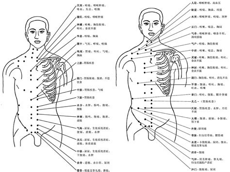 人身穴位圖|人體穴位圖